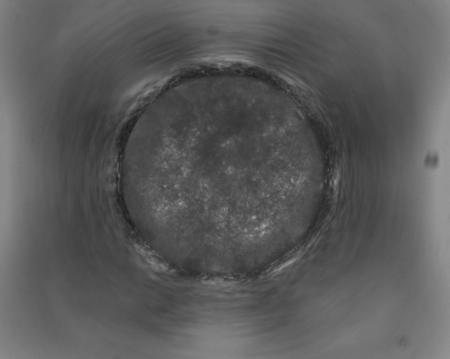 X0000090911014200708201736