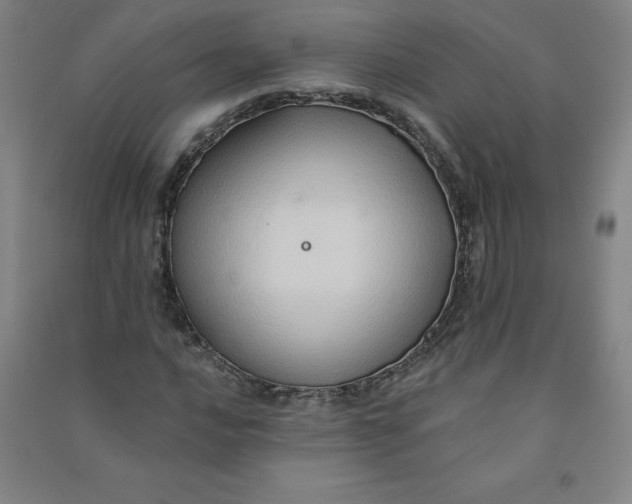 X0000090911016200708201736