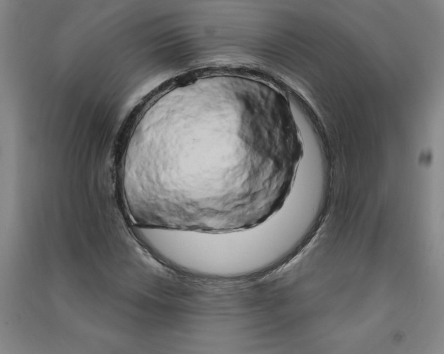 X0000090911018200708201736