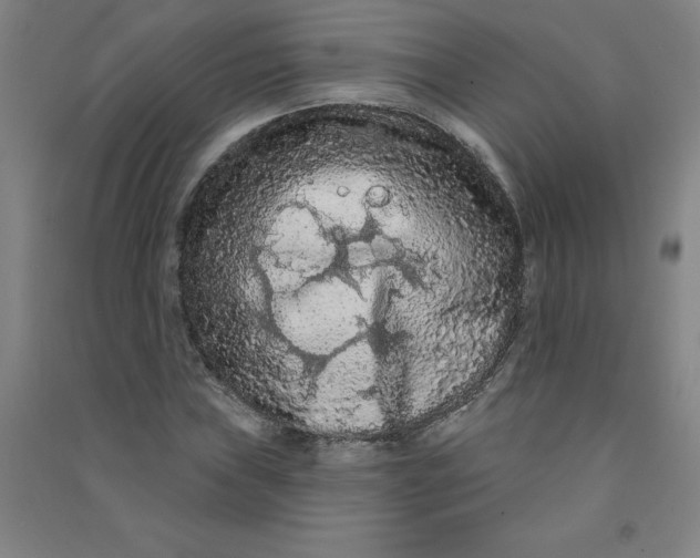 X0000090911019200708201736