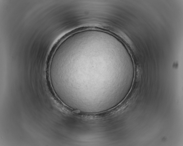 X0000090911020200708201736