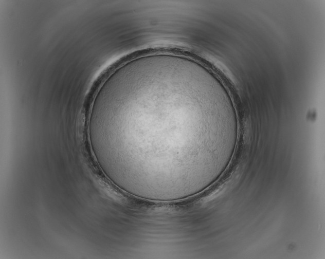 X0000090911021200708201736