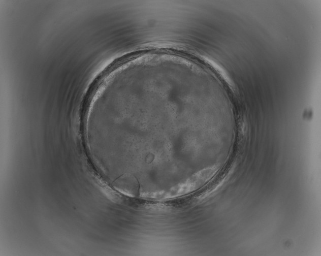 X0000090911023200708201736