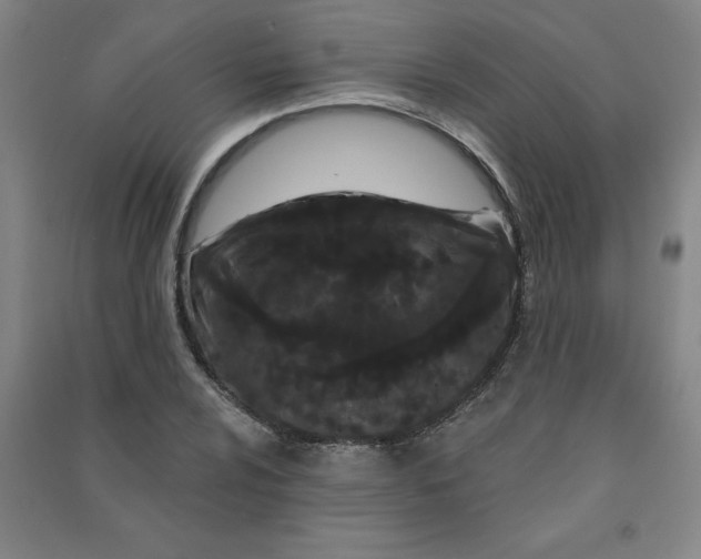 X0000090911024200708201736