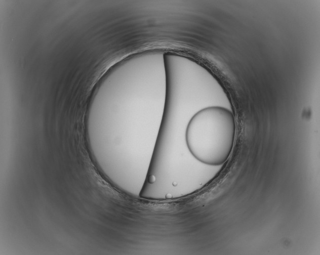 X0000090911025200708201736