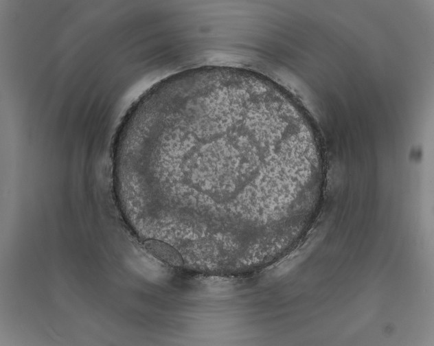 X0000090911027200708201736