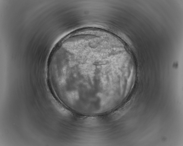 X0000090911028200708201736