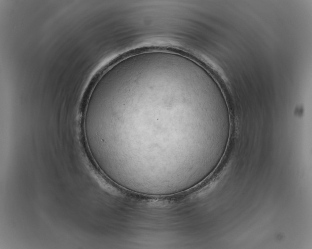 X0000090911029200708201736