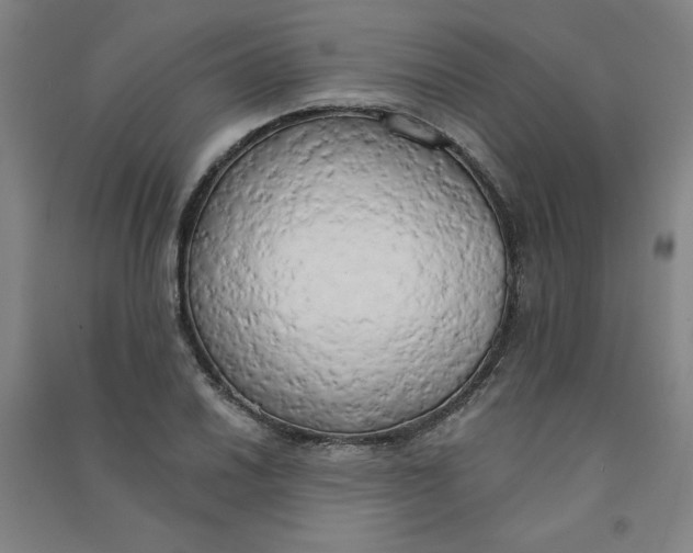 X0000090911030200708201736