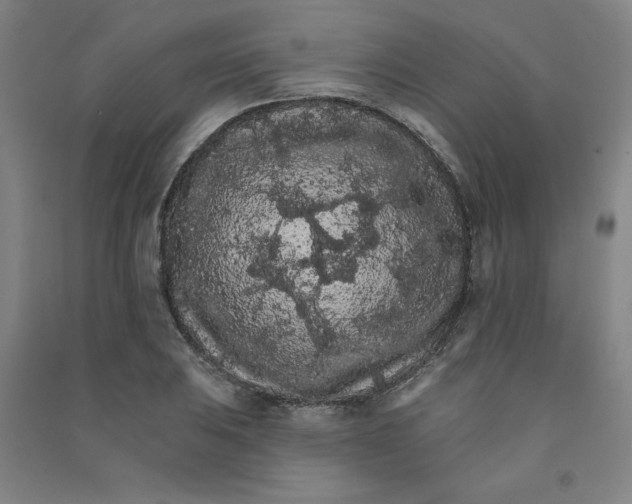 X0000090911031200708201736