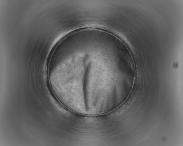 X0000090911032200708201736