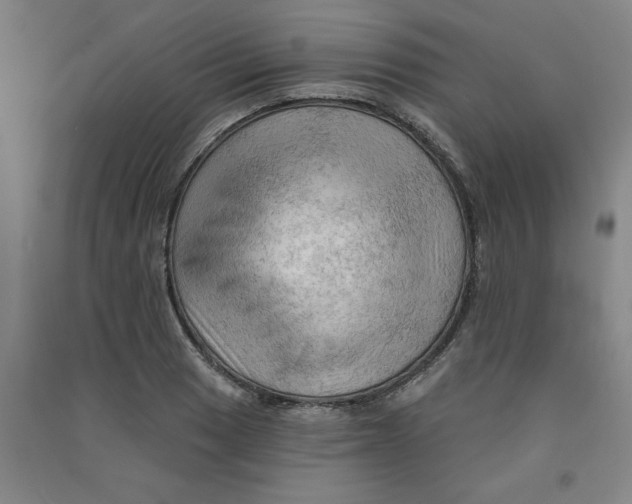 X0000090911033200708201736