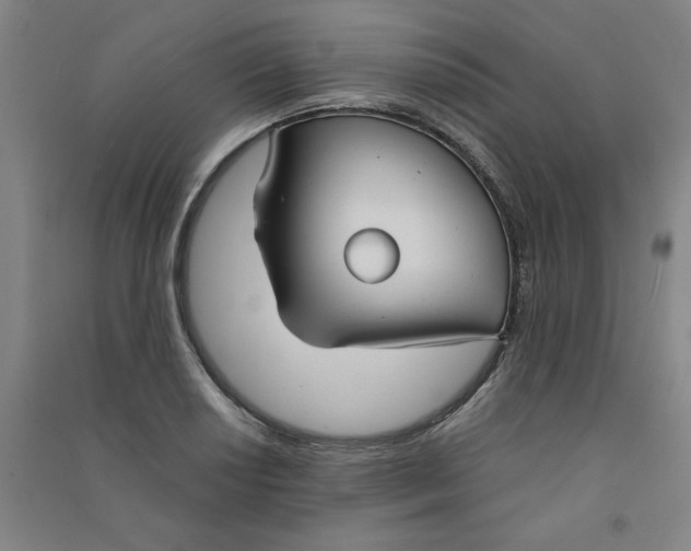 X0000090911034200708201736