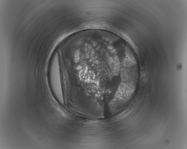 X0000090911035200708201736