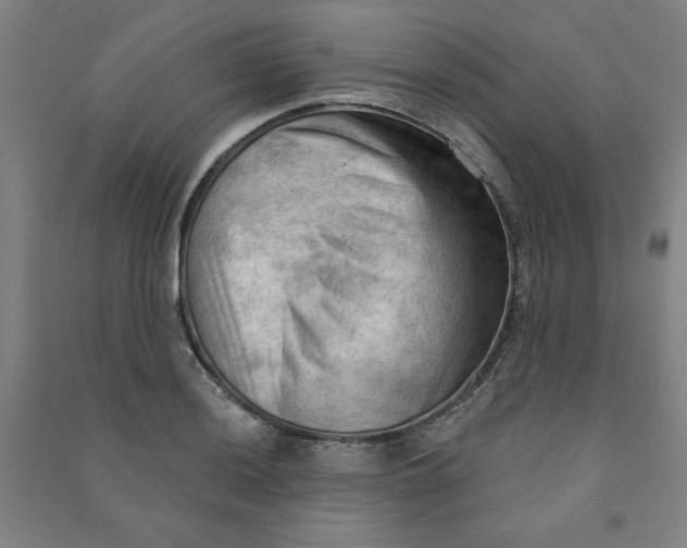 X0000090911036200708201736