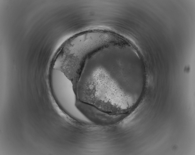 X0000090911038200708201736