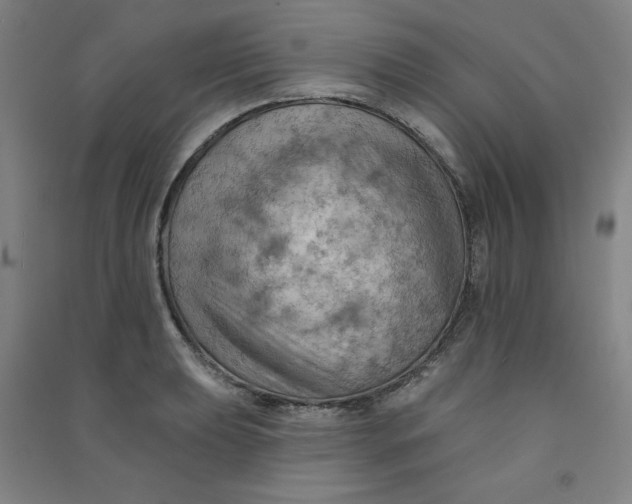 X0000090911039200708201736