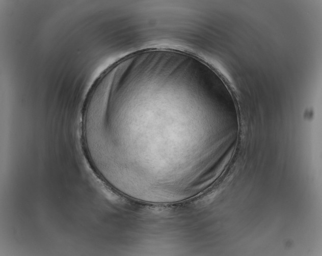 X0000090911040200708201736