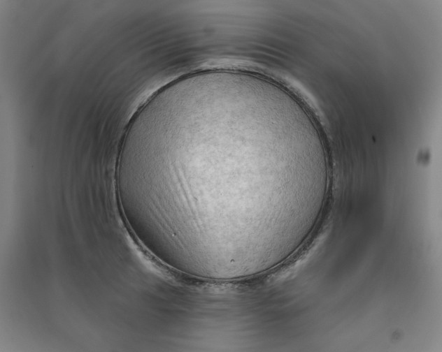 X0000090911041200708201736