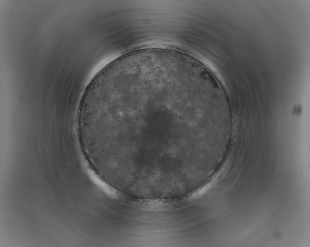 X0000090911042200708201736