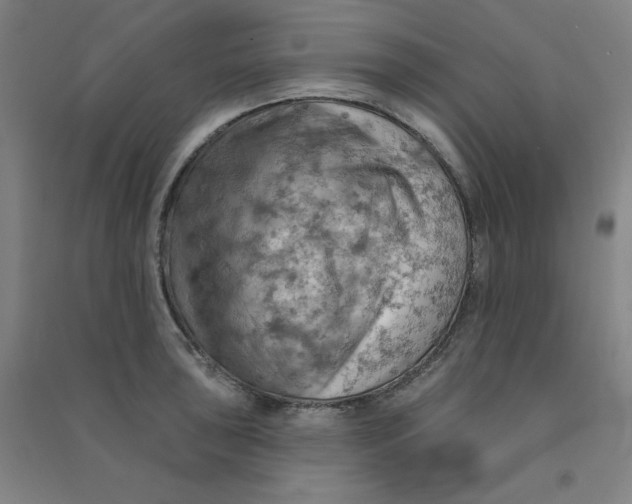 X0000090911043200708201736