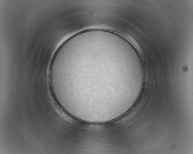 X0000090911044200708201736