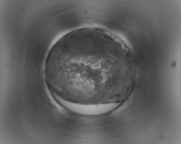 X0000090911046200708201737