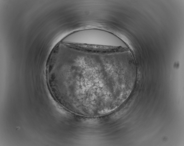 X0000090911047200708201737