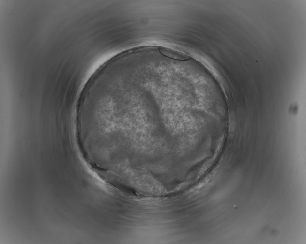 X0000090911048200708201737