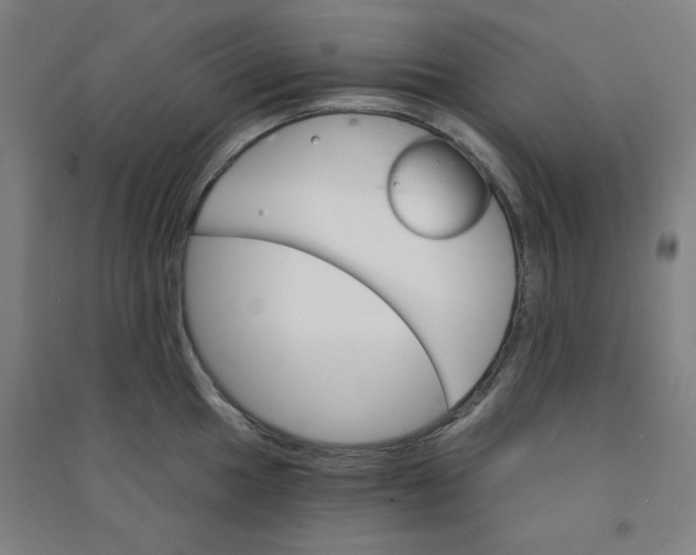 X0000090911049200708201737