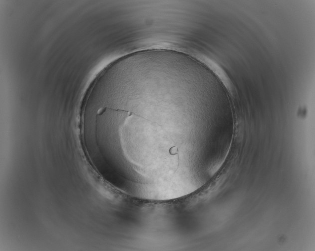 X0000090911051200708201737