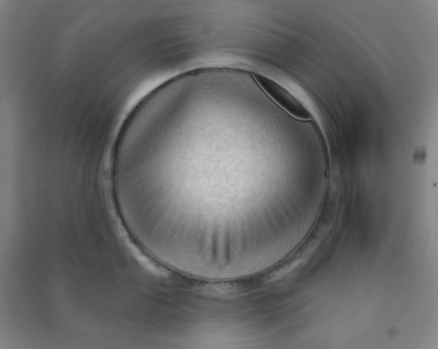 X0000090911053200708201737