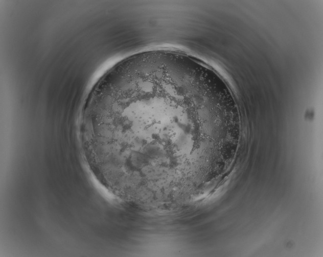 X0000090911054200708201737