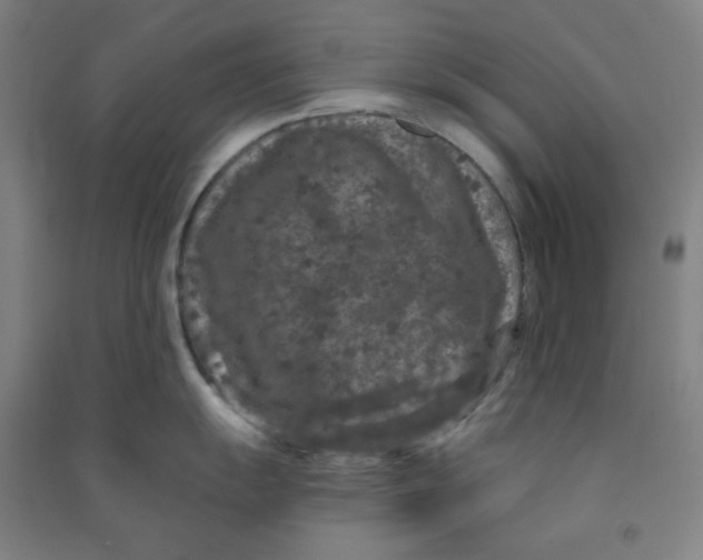 X0000090911055200708201737