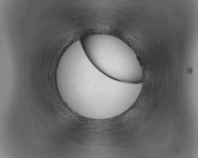 X0000090911057200708201736