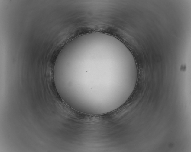 X0000090911058200708201736