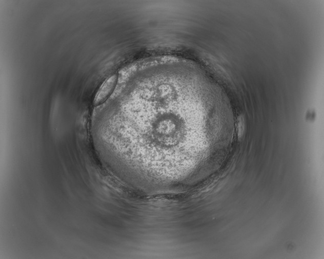 X0000090911059200708201736