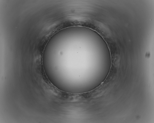 X0000090911061200708201736