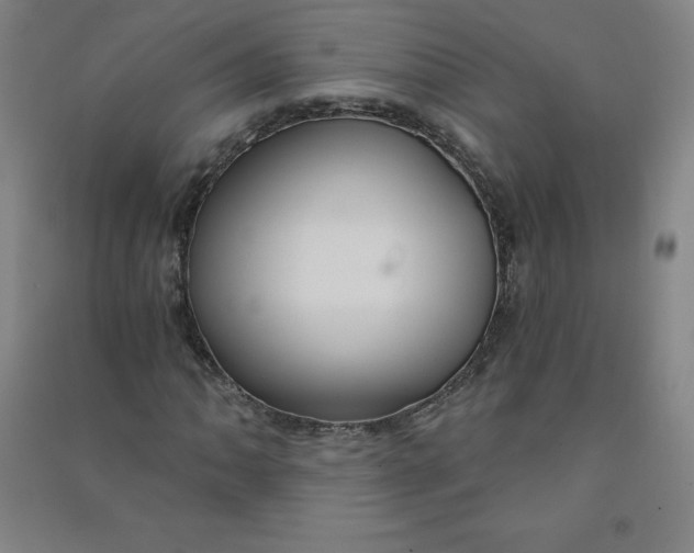 X0000090911062200708201736