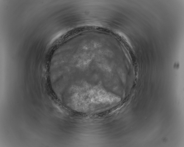 X0000090911064200708201736