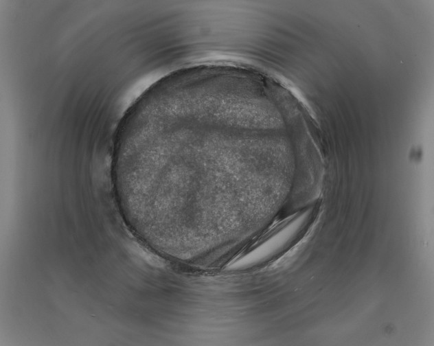 X0000090911066200708201736