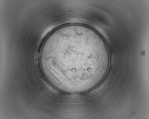 X0000090911067200708201736