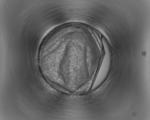 X0000090911068200708201736