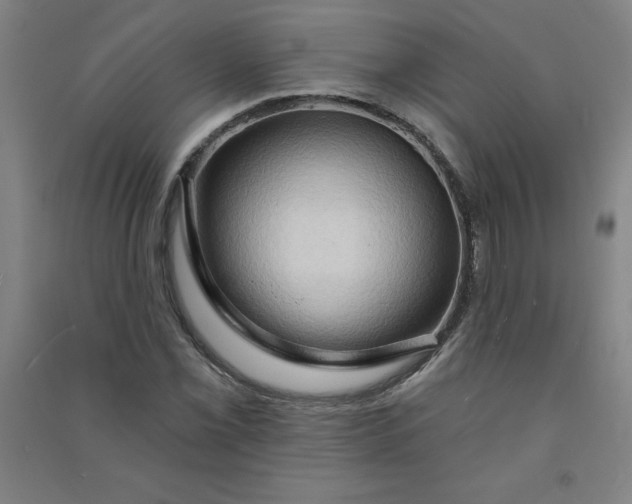 X0000090911069200708201736