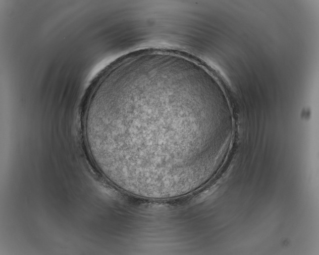 X0000090911070200708201736