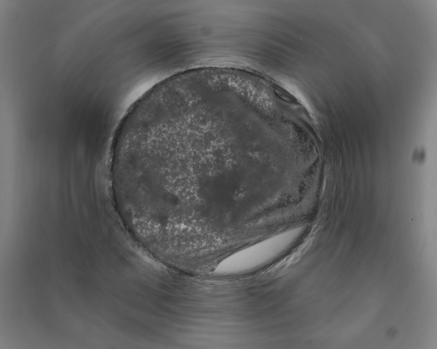 X0000090911071200708201736