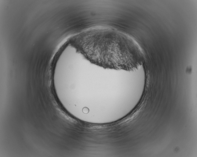 X0000090911075200708201736