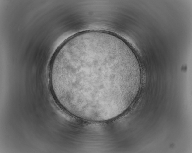 X0000090911078200708201736