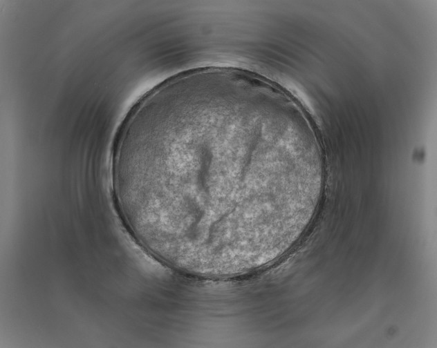 X0000090911080200708201735