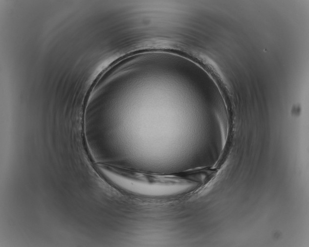 X0000090911081200708201735